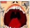  ����� �������